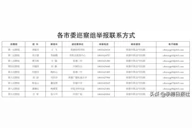 承德市委巡察公告图片