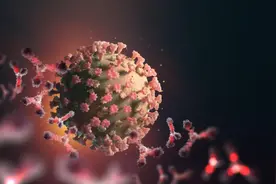 科学家无限放大：发现从未见过的画面，艾滋病毒正在感染细胞图片