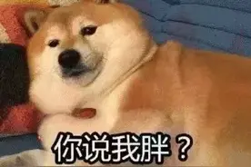 想减肥？养只狗吧！这只狗狗帮主人一年瘦了260多斤图片