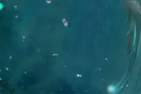 魔道祖师：羡羡的小乌龟变成美人鱼~图片