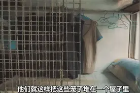 香港笼屋一间不足3㎡，一个屋子能挤下六家人，共用厨房厕所图片