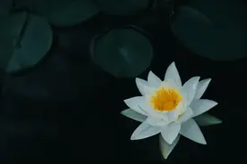 日本传统「和风月名」，一个比一个文艺图片