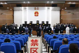长沙“无人认领”别墅开发商涉黑案开庭：18人涉27起犯罪图片