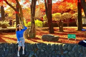 秋色无限好，何处最妖娆？来这15处目的地奔赴一场秋日美色盛宴吧图片