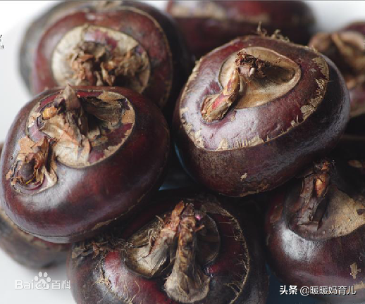 花胶骨头汤孕妇可以吃吗 2026年花胶骨头汤孕妇的好处 花胶骨头汤孕妇可以吃吗 2026年花胶骨头汤孕妇的好处
