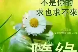 你在陌陌聊天吗?上陌陌都是什么目的呢？图片
