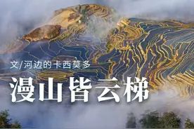 中国梯田，有多美？图片