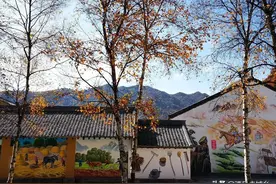 秦岭深处有人家图片