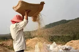 家族聚会，姑妈问我职位，我只说是小职员，后来看望父母的人少了图片