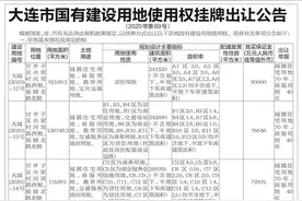 大连地王出世，甘西140地块图片