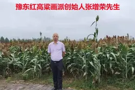 说红高粱、画红高粱一一张增荣绘画艺苑图片