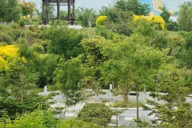 18亿年前的海蚀地貌，建立在沙滩之上的玻璃桥，你想来看看吗图片