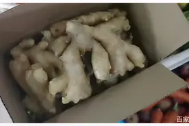 郑州动物园给动物加餐啦！竟然是它们……图片