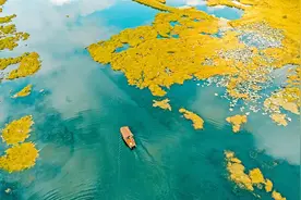 到腾冲湿地与大自然亲密接触：在碧水云天里放松心情图片