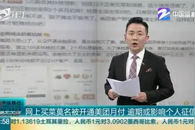 网上买菜莫名被开通美团月付 逾期或影响个人征信图片