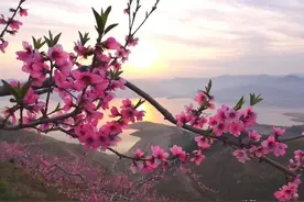 话说当年‘春节’走油图片