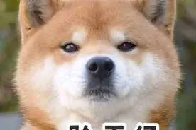 大家好，我是郭大侠，我有些话想对我仅有的粉丝说图片