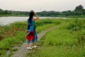 「实拍」青青河边草，醉心看夕阳图片
