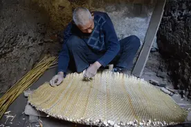 河南大爷地窖里编笸箩，网友建议做直播在网上卖，没想到不好邮寄图片