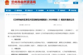 青白石片区将打造十五分钟生活圈，如何规划看这里图片