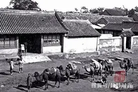 晚清骆驼商队图片