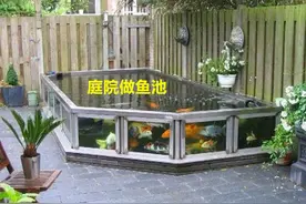 院子"种菜化"该去除了，这样设计更加高档，有石有水很有意境图片