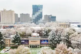雪落西影 | 走进初冬悦时光图片
