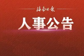 海口市拟任干部人选公告图片