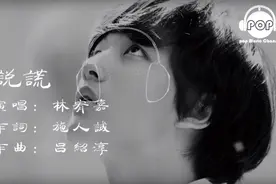 林宥嘉的说谎里面说了几句真话？图片