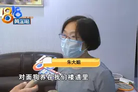 狗有时拴在楼道，夏天有气味邻居有话说图片