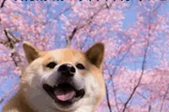 给大家来一套本人自制的表情包图片