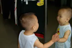 “暴躁宝宝”走红网络，与镜子里的自己打架，网友：也就打成平手图片