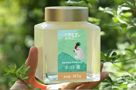 洋槐蜂蜜是什么做的？洋槐蜂蜜好吗？图片