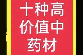 十种农村常见中药材，有的价值过万元一斤，遇到别错过图片