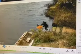 女子被前同事推下水，双双溺亡！更多细节披露图片