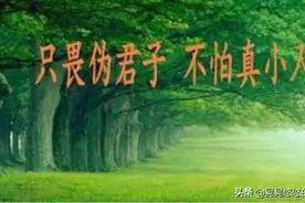 打油诗 伪君子图片