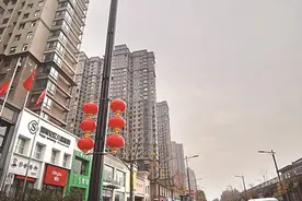 兴洛湖公园周边新路灯已全部安装完毕 预计本月底前投用图片
