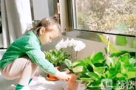 “神兽”在家憋不住了 要带孩子出去玩吗？图片