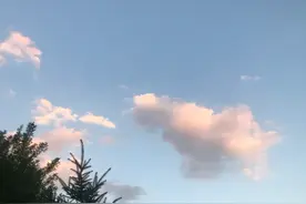 “天塌了地陷了，小花狗不见了”图片