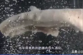 曾与茅台竞争，用"肥肉"作为酿酒的核心原料，这一操作真是破天荒图片
