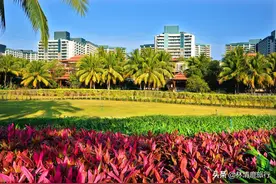 海南这座县城，冬天比海口暖和，夏天比三亚凉快，物价低适合养老图片