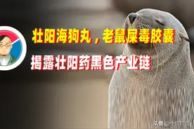 霍虚被锤反转又反转？揭开壮阳海狗丸背后的黑色产业链图片