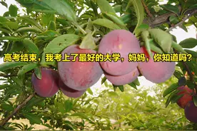 高考结束，一个女儿写给妈妈的一封信：妈妈，女儿看你来了图片