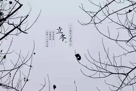 「立冬特刊」又是一年立冬时图片