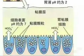 慢性胃炎不能吃哪些食物？应该吃些什么？图片
