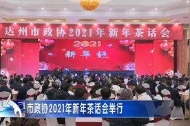 市政协2021年新年茶话会举行图片