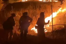 美国加州山火已烧毁逾1.6万平方公里土地 致31人死亡视频封面