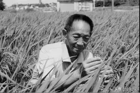 郭松民 | ​袁隆平为什么能够成就奇迹？图片