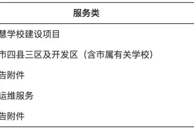 科大讯飞 3.96 亿元中标六安市智慧学校建设项目图片