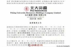 北大资源控股股东将被清盘母公司面临重整 昆明三项目暂未受波及图片